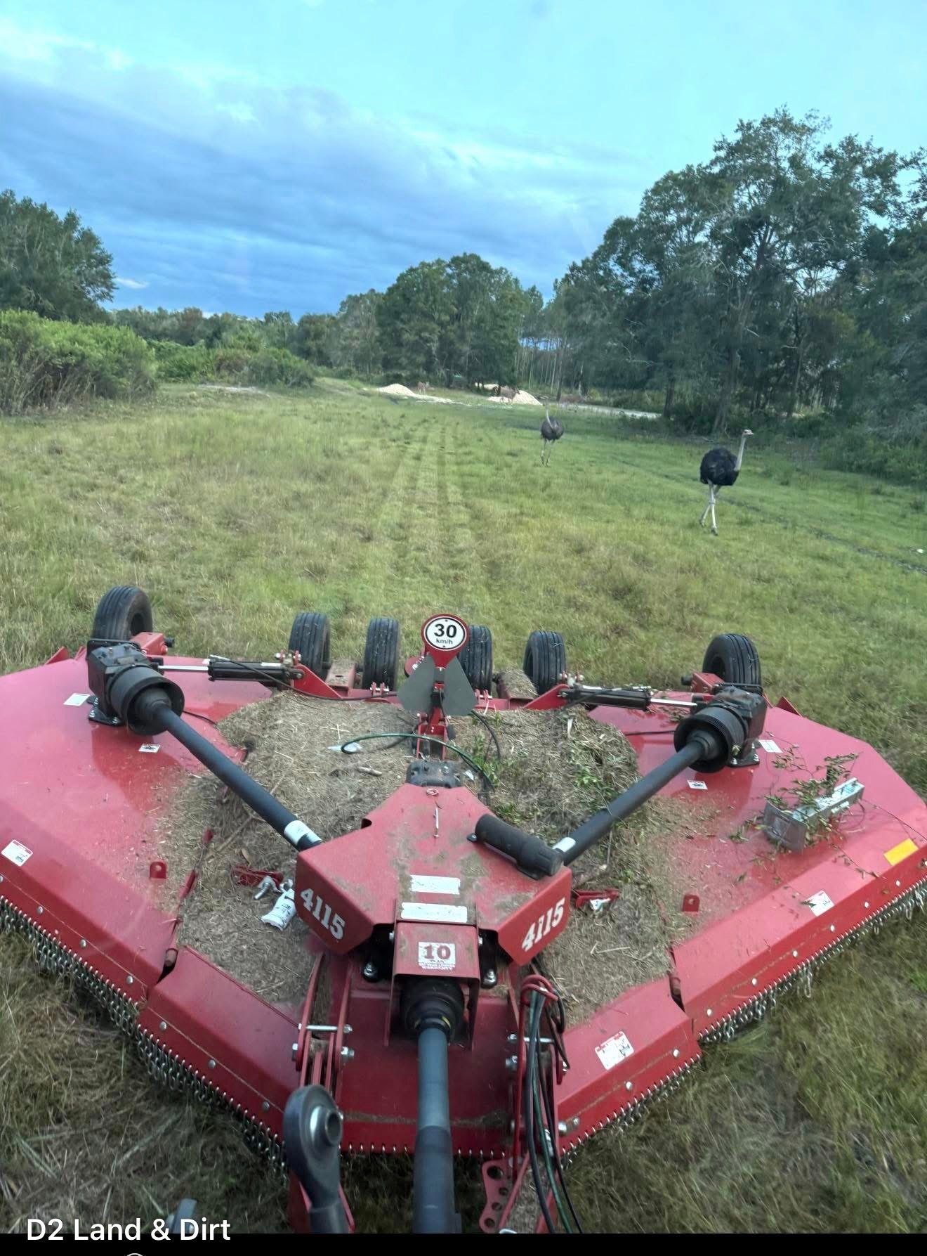 D2's batwing mower working around ostriches on a Florida exotic livestock property
