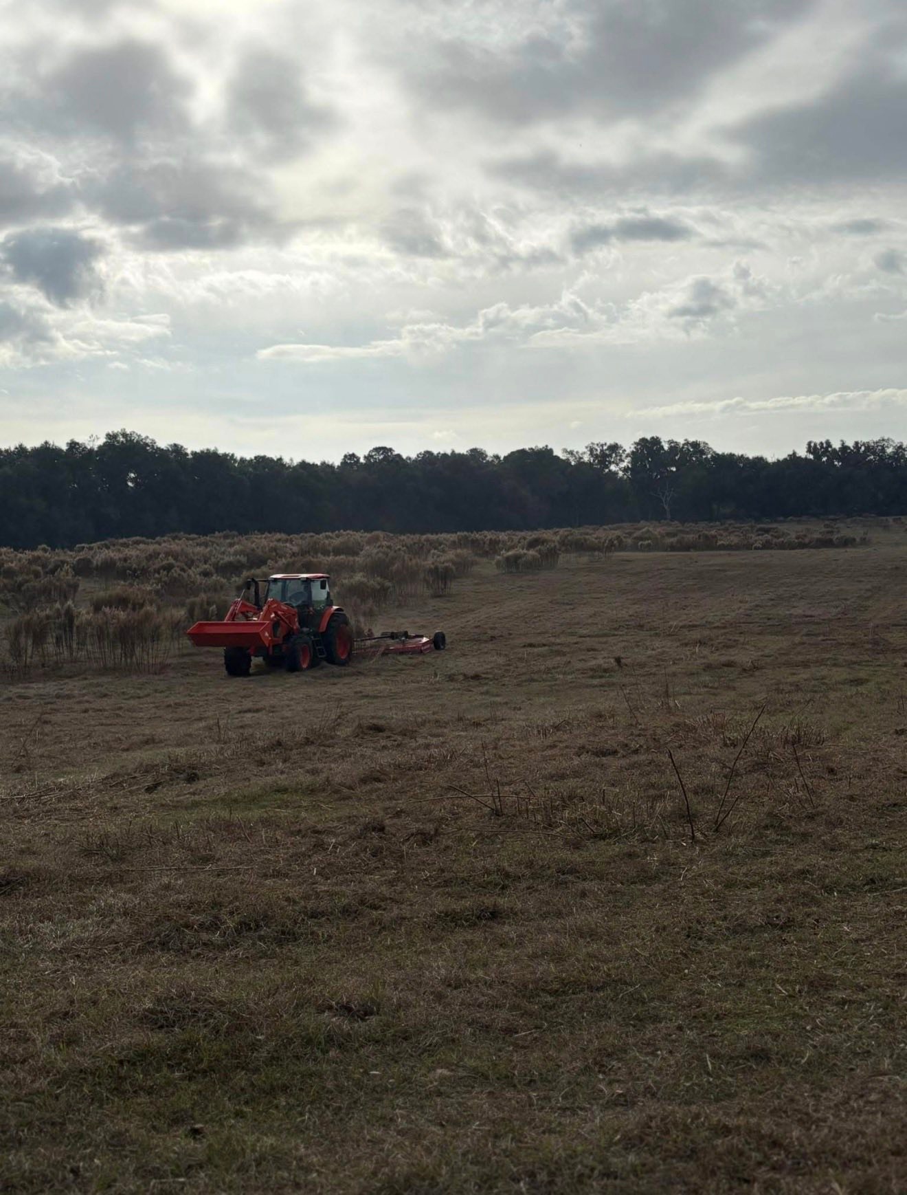 Bush Hogging — real D2 Land & Dirt project
