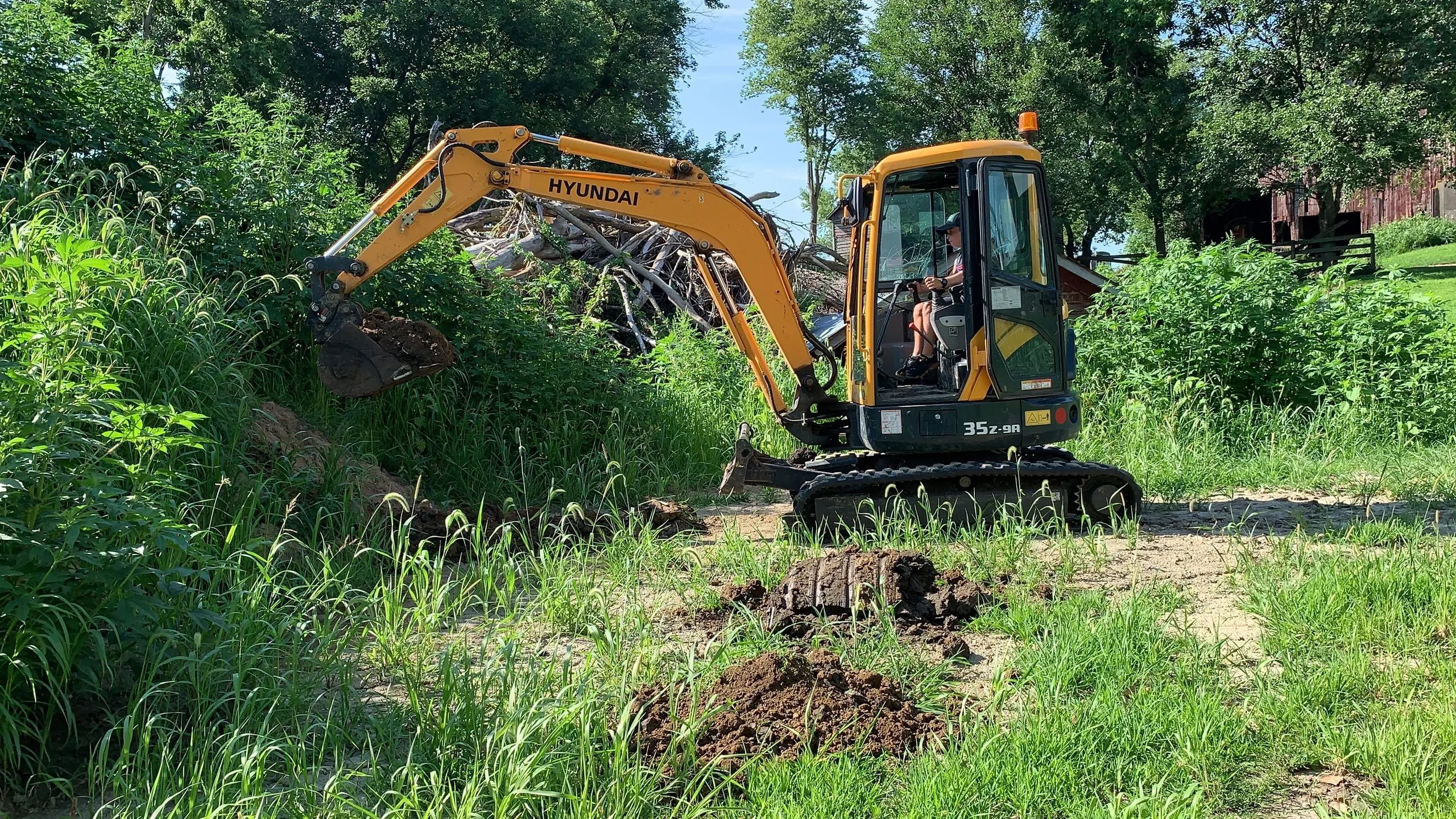 D2 Hyundai 35Z-9A mini excavator clearing stumps and roots